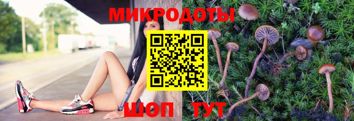Канск  Галлюциногенные грибы Psilocybe  Вход с VPN 